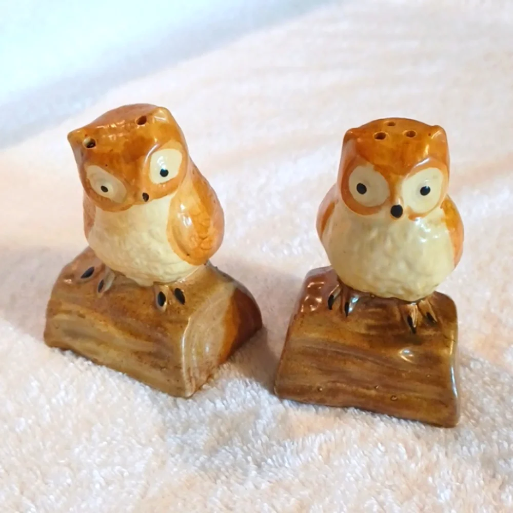 Owl salt and pepper shakers vintage kitchen decor